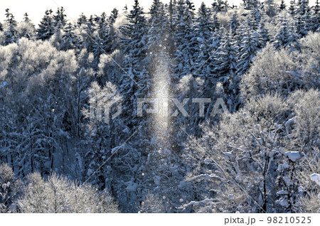 ダイヤモンドダスト　北海道　自然現象　冬　綺麗　キラキラ 98210525
