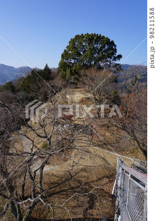 岡山県津山市にあるサムハラ神社(大阪にある「サムハラ神社」の奥の宮)の御神木:日詰山展望台から見る 岡山県津山市にあるサムハラ神社(大阪にある「サムハラ神社」の奥の宮)の御神木:日詰山展望台から見る 98211588