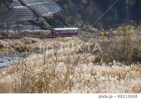 大糸線全線開通65周年記念乗入れ リゾート雪月花 ススキの河原 98213688