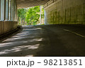 春のスノーシェルターの光と影 98213851