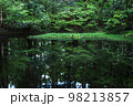 映り込みが美しいため池 98213857