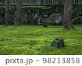 苔が美しい庭園と石垣と切り株 98213858