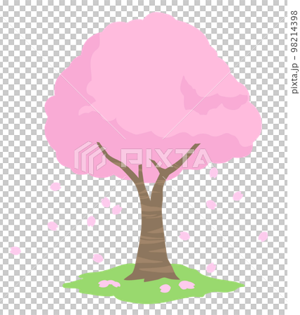 春天的櫻花樹和花瓣插畫素材 春天的櫻花樹和花瓣插畫素材 98214398