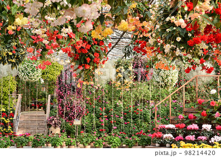 松江フォーゲルパークより 98214420