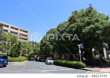 相鉄線 緑園都市駅前 西口のロータリー 相鉄線 緑園都市駅前 西口のロータリー 98214745