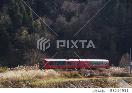 大糸線全線開通65周年記念乗入れ リゾート雪月花 ススキ 98214951