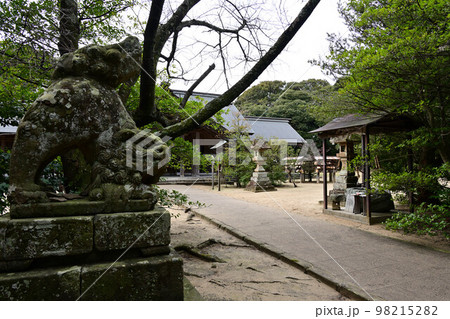 長浜神社より 長浜神社より 98215282