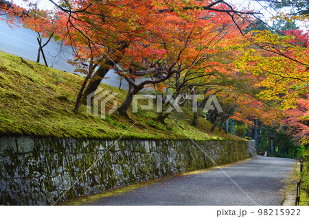 京都市左京区の曼殊院 勅使門前の紅葉参道 京都市左京区の曼殊院 勅使門前の紅葉参道 98215922