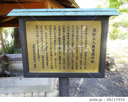 大阪城公園にある蓮如上人袈裟懸けの松の説明看板(大阪府大阪市中央区)　2022年11月 98215950