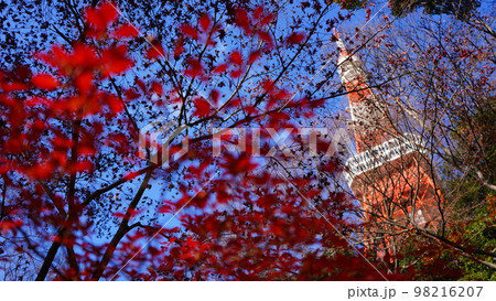 紅葉と東京タワー 98216207