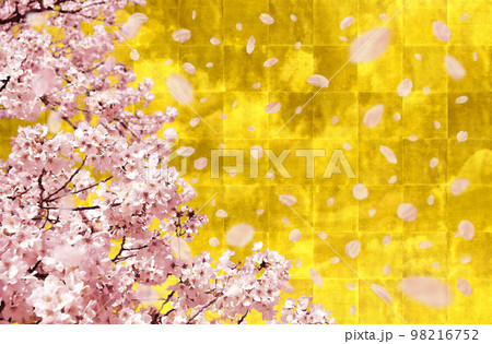 金箔の背景に雲が光る、満開の桜と舞う花びらを琳派風に描いた背景アート 金箔の背景に雲が光る、満開の桜と舞う花びらを琳派風に描いた背景アート 98216752
