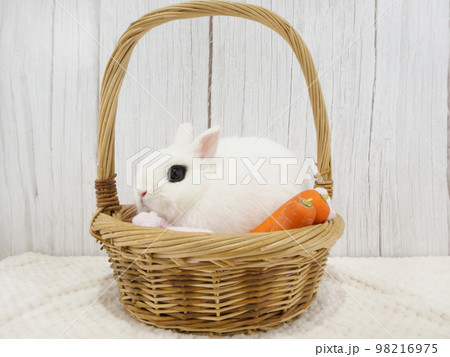 ウサギと人参とバスケット ウサギと人参とバスケット 98216975