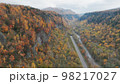 空撮 層雲峡の渓谷 秋の石狩川 柱状節理 北海道 空撮 層雲峡の渓谷 秋の石狩川 柱状節理 北海道 98217027