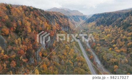 空撮 層雲峡の渓谷 秋の石狩川 柱状節理 北海道 98217027