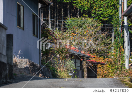 秋の田舎風景　旧鰍沢町の景観 98217830