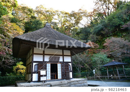 鎌倉の秋 98218463