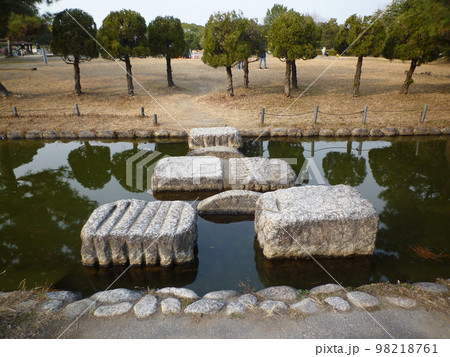 海南こどもの国 海南こどもの国 98218761