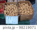 じゃがいも 98219071