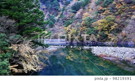 大井川鐵道あぷとラインから見える紅葉と川 98219391