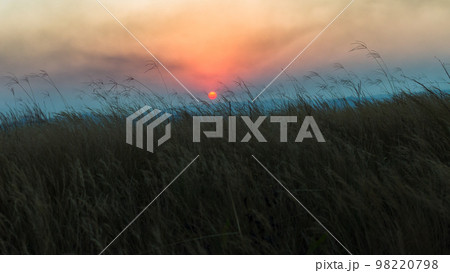 Grass Field Sun Setting Nature Countryside 98220798