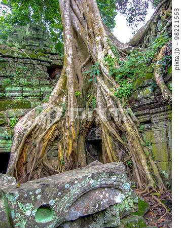 アンコール遺跡群2005 タ・プローム 侵食 アンコール遺跡群2005 タ・プローム 侵食 98221663