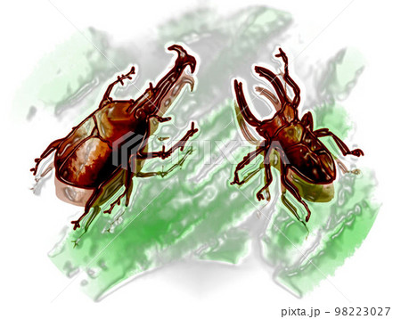 クワガタとカブトムシ 98223027