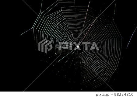 A web woven by a spider on a black background. 98224810