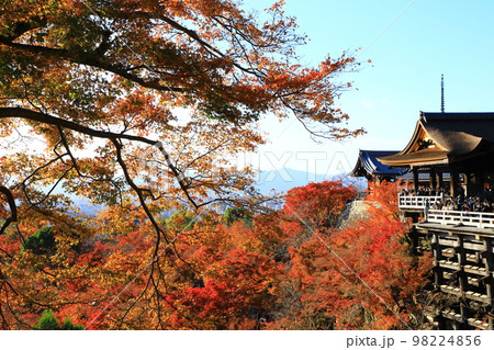 清水寺　紅葉風景 98224856