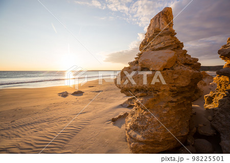 Ocean coast 98225501