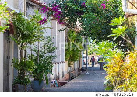 Street garden Street garden 98225512