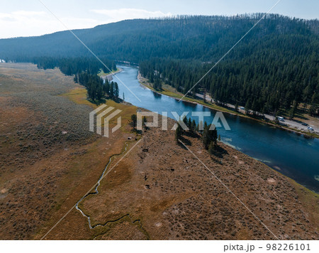 Yellowstone National Park dead trees near geysers. Burnt trees and forest inside Yellowstone National Park.. 98226101