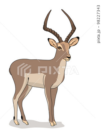 Antelope of wild animal living in nature with a print texture of the skin 98227343