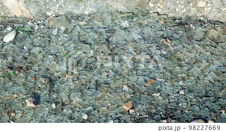 Texture of white broken glass, a lot of broken glass on the ground. Texture of white broken glass, a lot of broken glass on the ground. 98227669