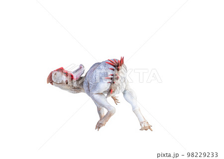 Protoceratops  , dinosaur on  isolated background 98229233