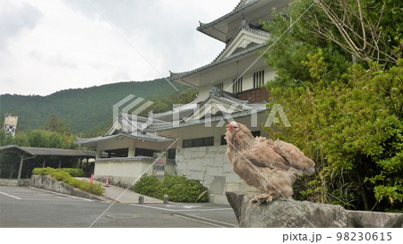 旅する鶏あちこち旅情（地元 98230615