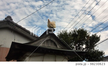 旅する鶏あちこち旅情（地元 98230623