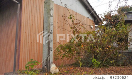 旅する鶏あちこち旅情（地元 98230624