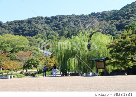 東山の山裾にあって開放的な円山公園 98231331
