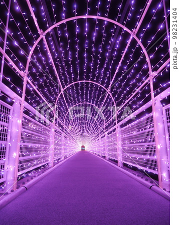 群馬県上野村 天空廻廊の吊り橋 イルミネーション 群馬県上野村 天空廻廊の吊り橋 イルミネーション 98231404
