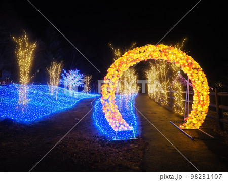 群馬県上野村 まほーばの森 イルミネーション 群馬県上野村 まほーばの森 イルミネーション 98231407