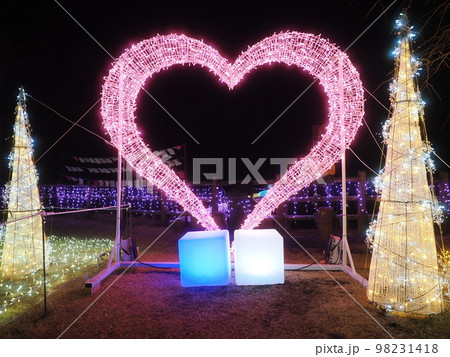 群馬県上野村　まほーばの森　イルミネーション 98231418