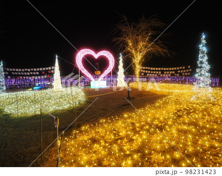 群馬県上野村　まほーばの森　イルミネーション 98231423