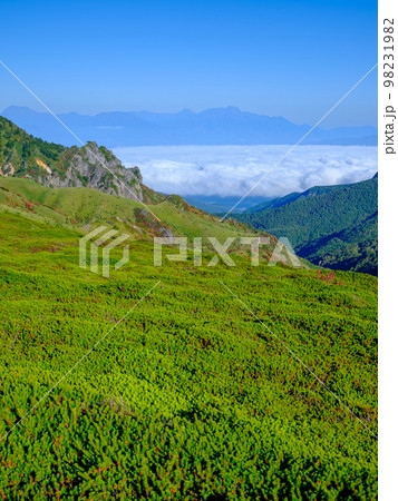 長野_毛無峠の紅葉風景 98231982