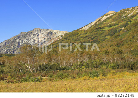 紅葉の栂池自然園 98232149
