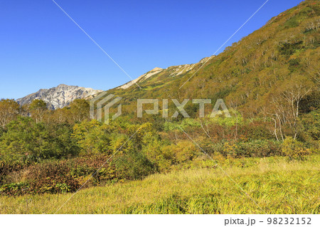 紅葉の栂池自然園 98232152