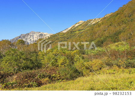 紅葉の栂池自然園 98232153