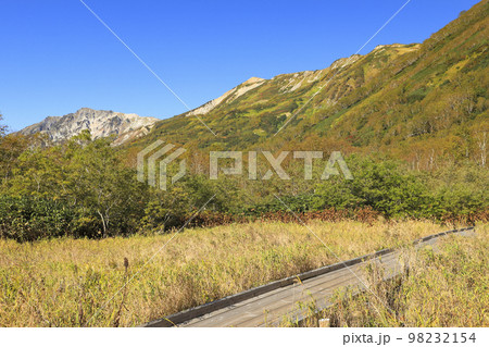 紅葉の栂池自然園 98232154