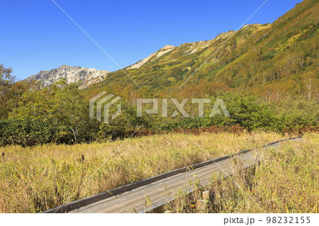 紅葉の栂池自然園 98232155