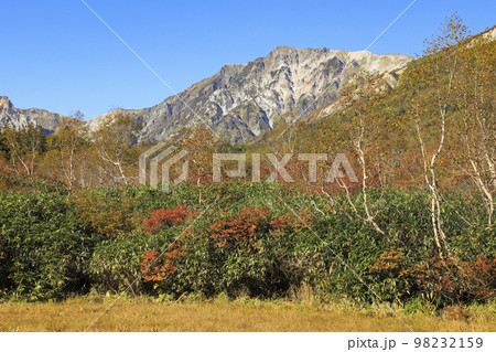 紅葉の栂池自然園 98232159