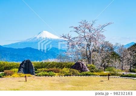日本平から富士山を望む(春) 日本平から富士山を望む(春) 98232163